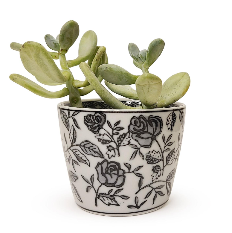 Black and White Hand Painted Cachepot Home Decor Two's Company