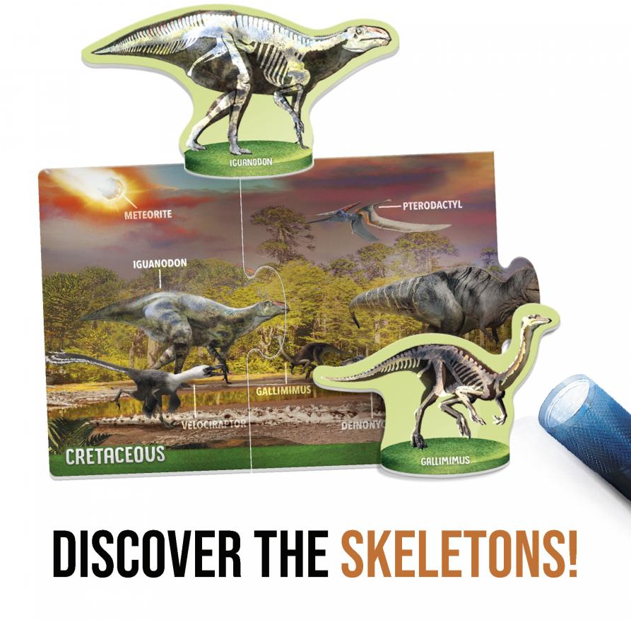 Dinosaurs Under X-Ray Toys Headu