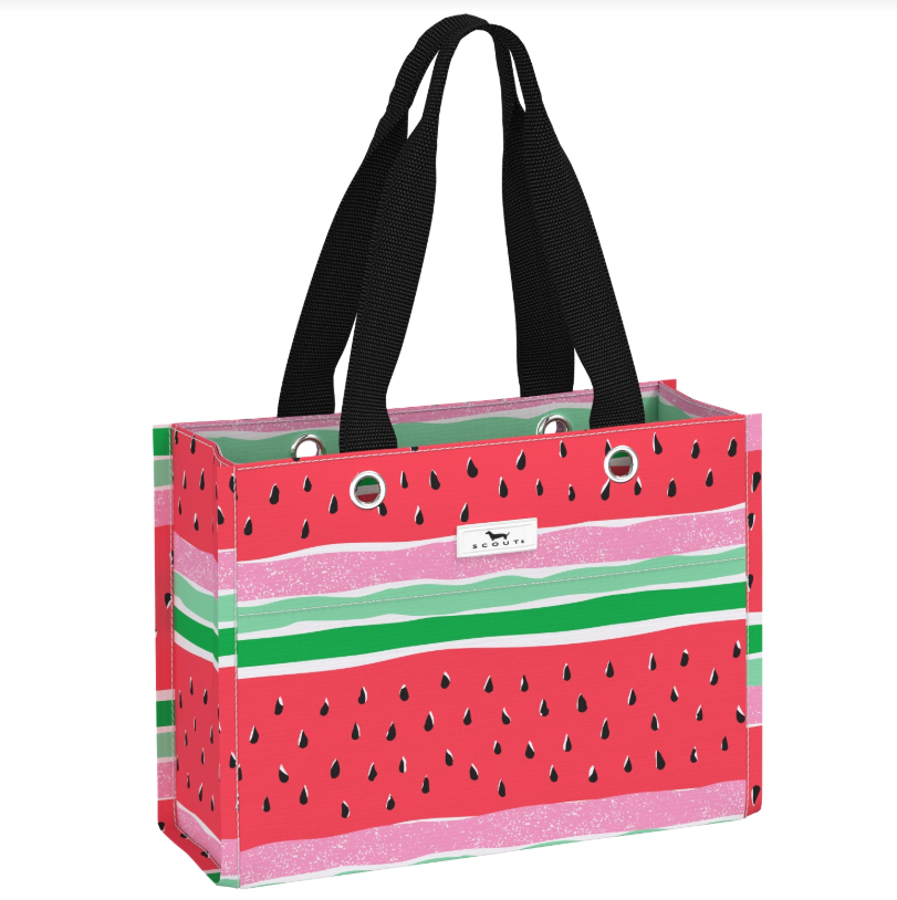 Tiny Package - Melondramatic Utility Bags Scout