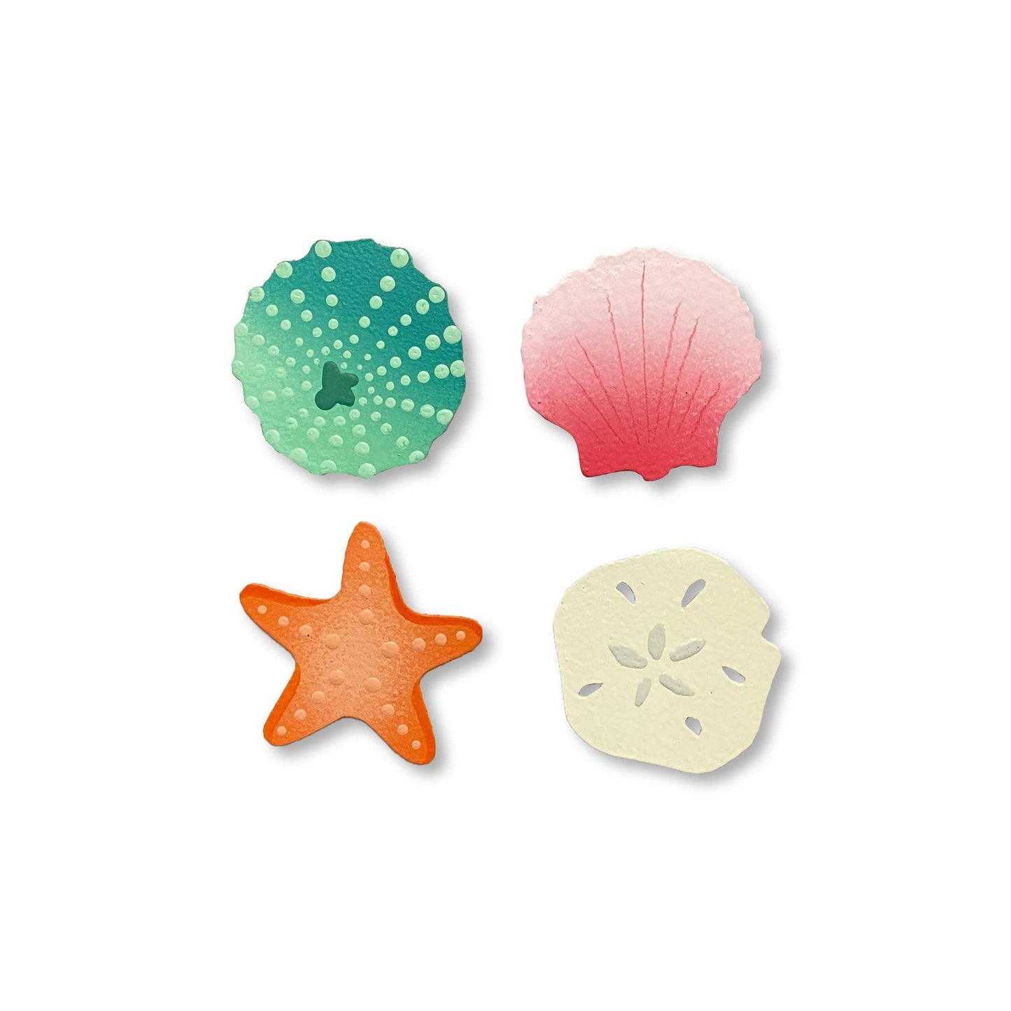 Seashell Magnets S/4 Gifts Roeda Studio
