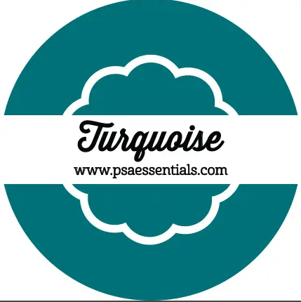 Single Color Ink - Turquoise Paper Goods PSA Essentials