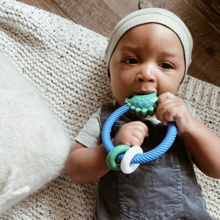Ritzy Rattle Silicone Teether Rattle - Dino Gifts Itzy Ritzy