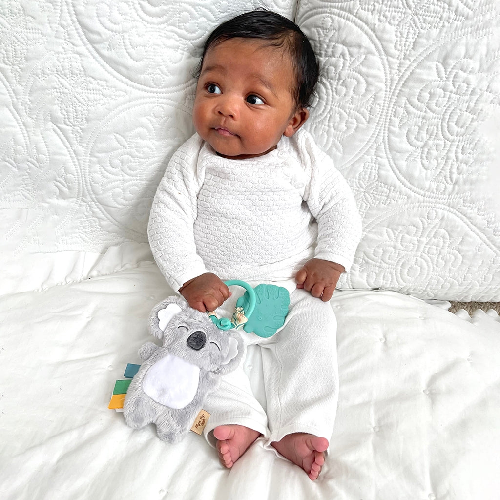 Koala Itzy Pal - Plush & Teether Gifts Itzy Ritzy