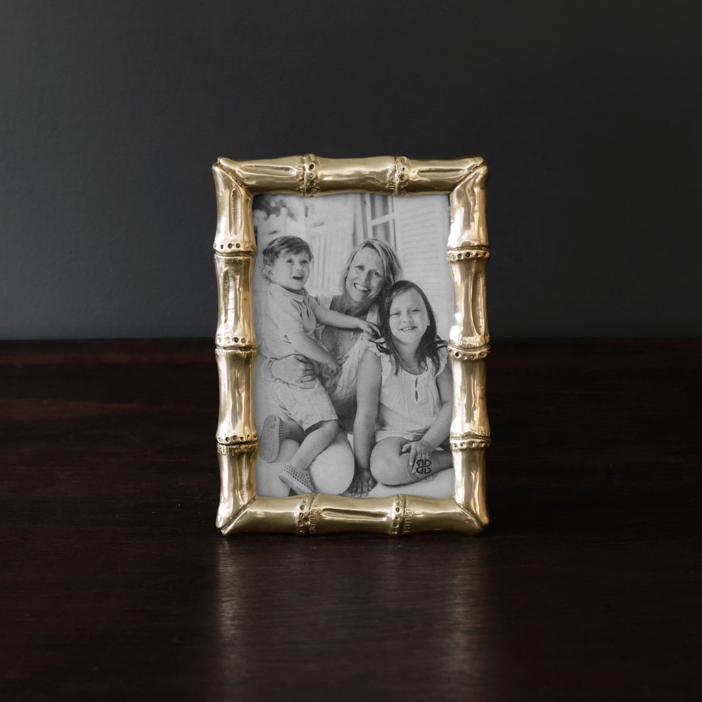 Sierra Modern Gold Bamboo 4x6 Frame Gifts Beatriz Ball