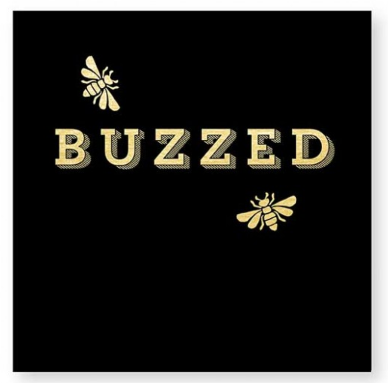 Buzzed Beverage Napkin Home Decor CR Gibson
