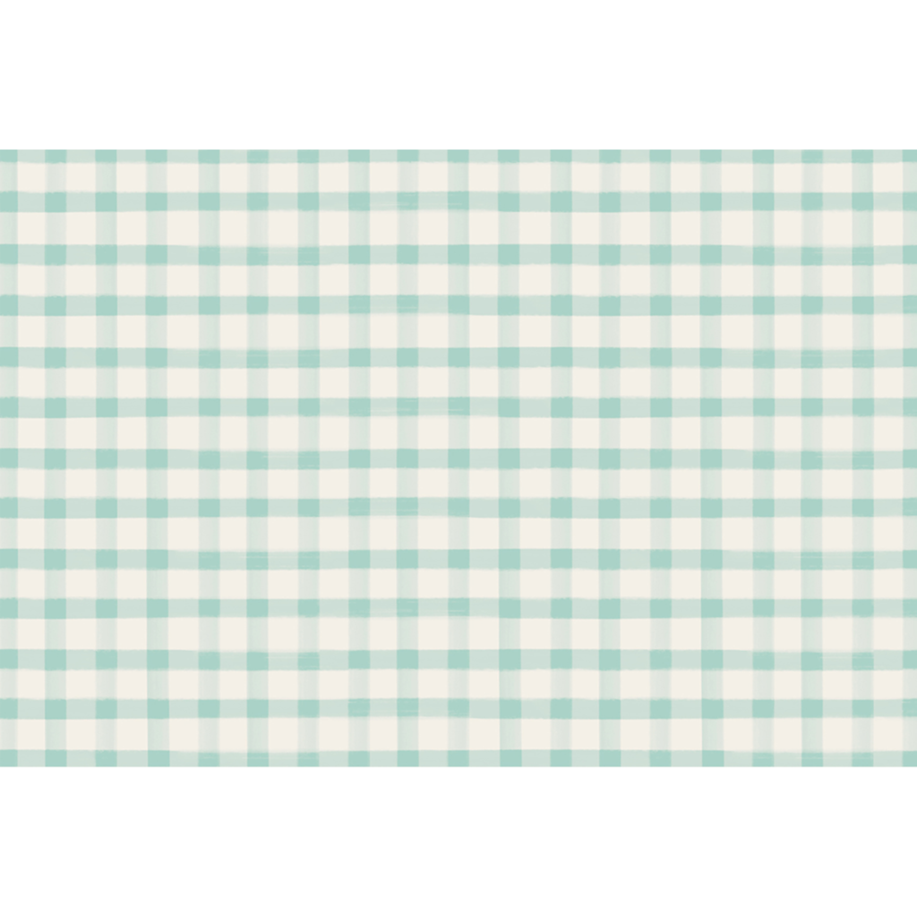 Seafoam Painted Check Placemat - 24 Sheets Home Decor Hester & Cook