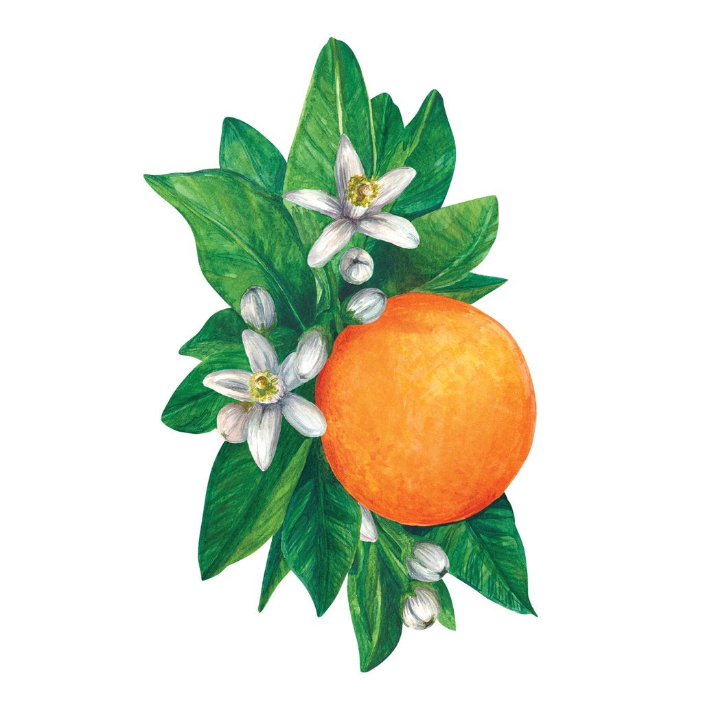 Orange Blossom Table Accent - Pack of 12 Home Decor Hester & Cook