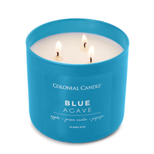 Blue Agave 14.5 oz Candle Candles Colonial Candle