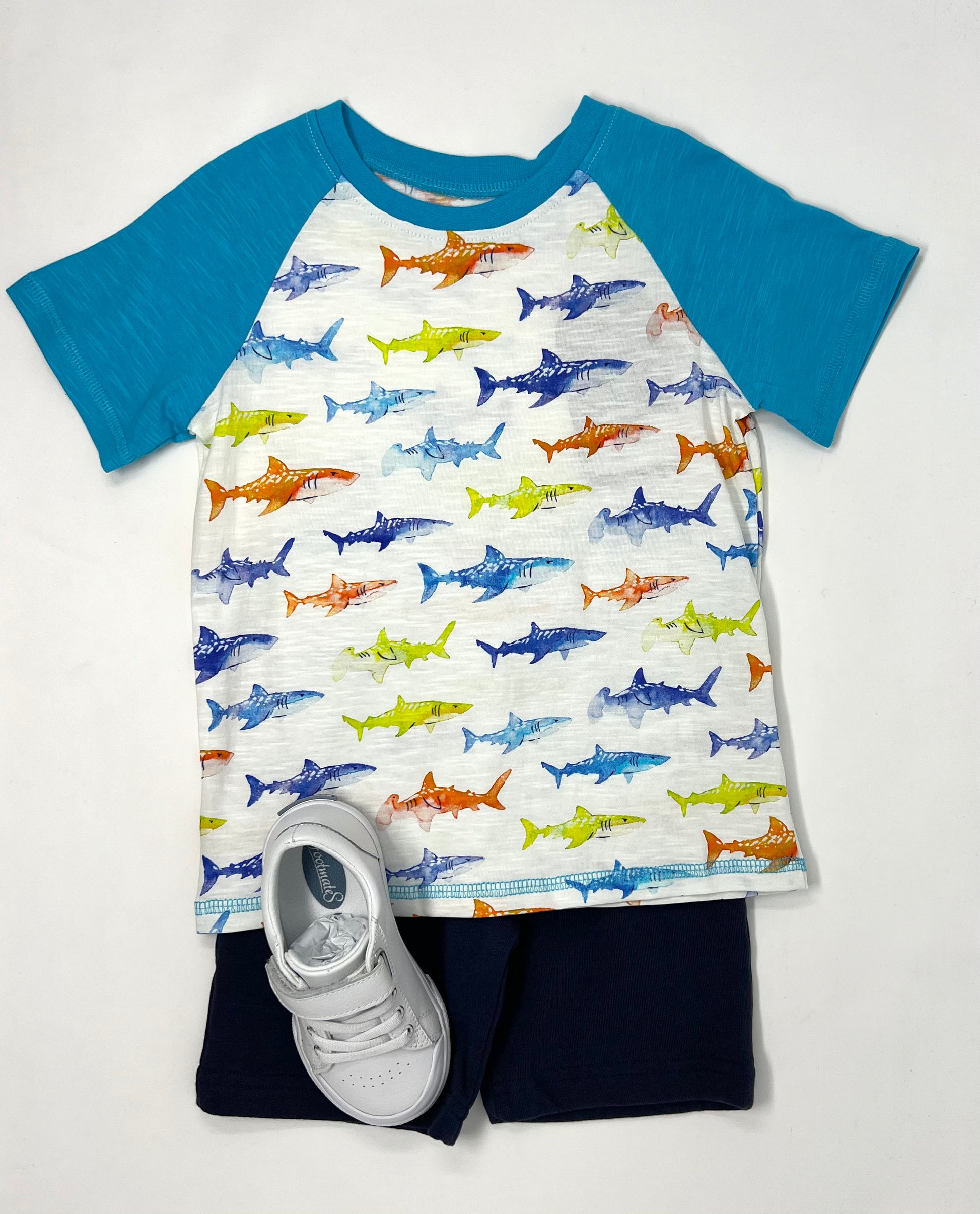 Painted Sharks Raglan Tee Boys Shirts + Polos Hatley   