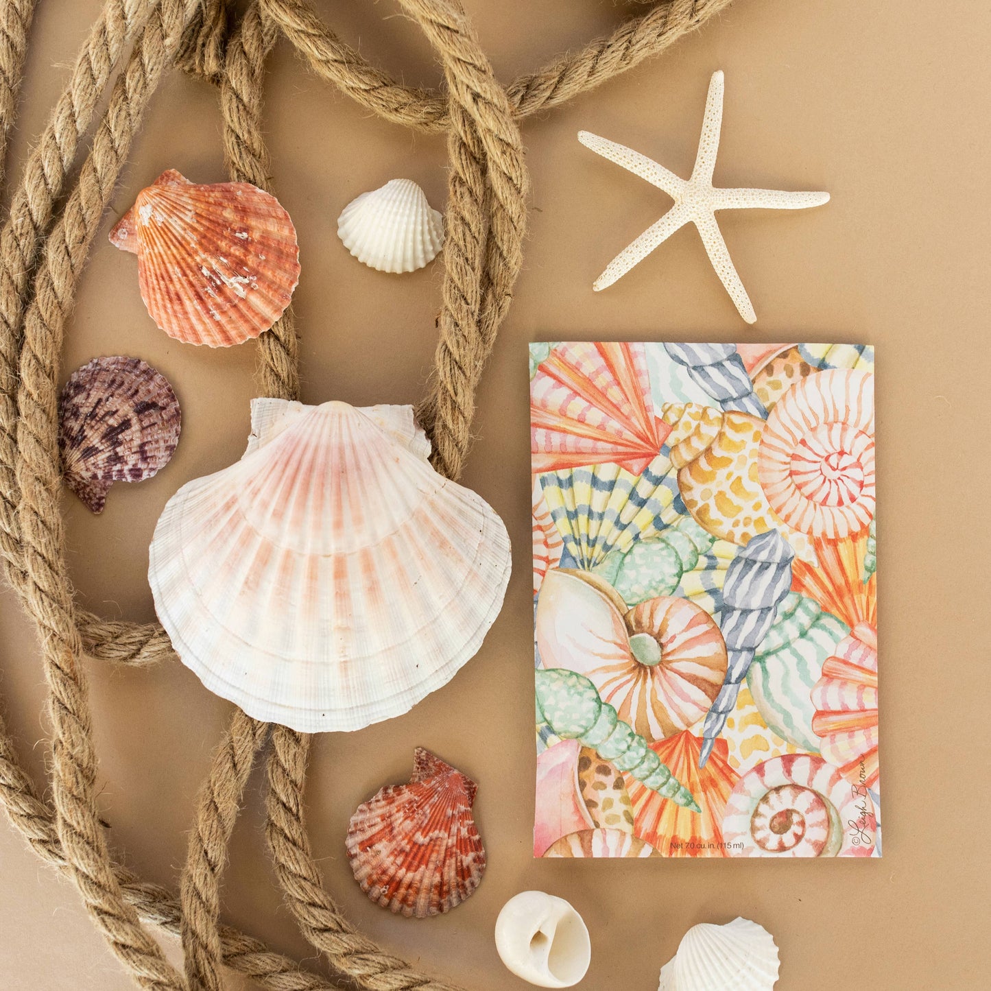 Fresh Scents Sea Shells Sachets Diffusers The Willowbrook Company