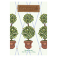 Fresh Scents Round Topiary Sachets Diffusers The Willowbrook Company