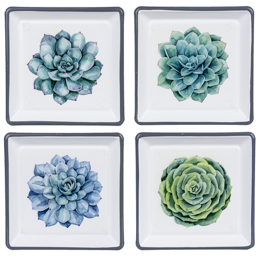 Enamel Succulent Trinket Dish Home Decor Midwest-CBK   