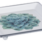 Enamel Succulent Trinket Dish Home Decor Midwest-CBK   