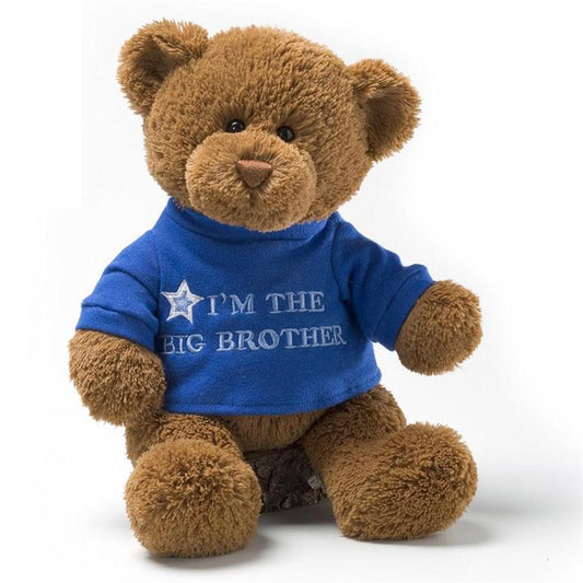 Big Brother 12" Bear Plush Gund