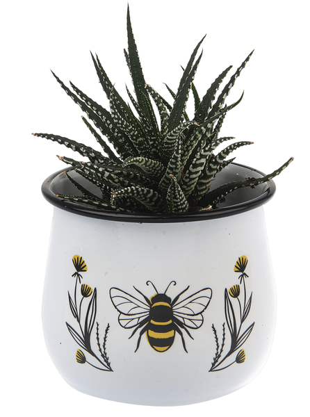 Bee & Floral Mini Planter 3 pc Set Home Decor Midwest-CBK   