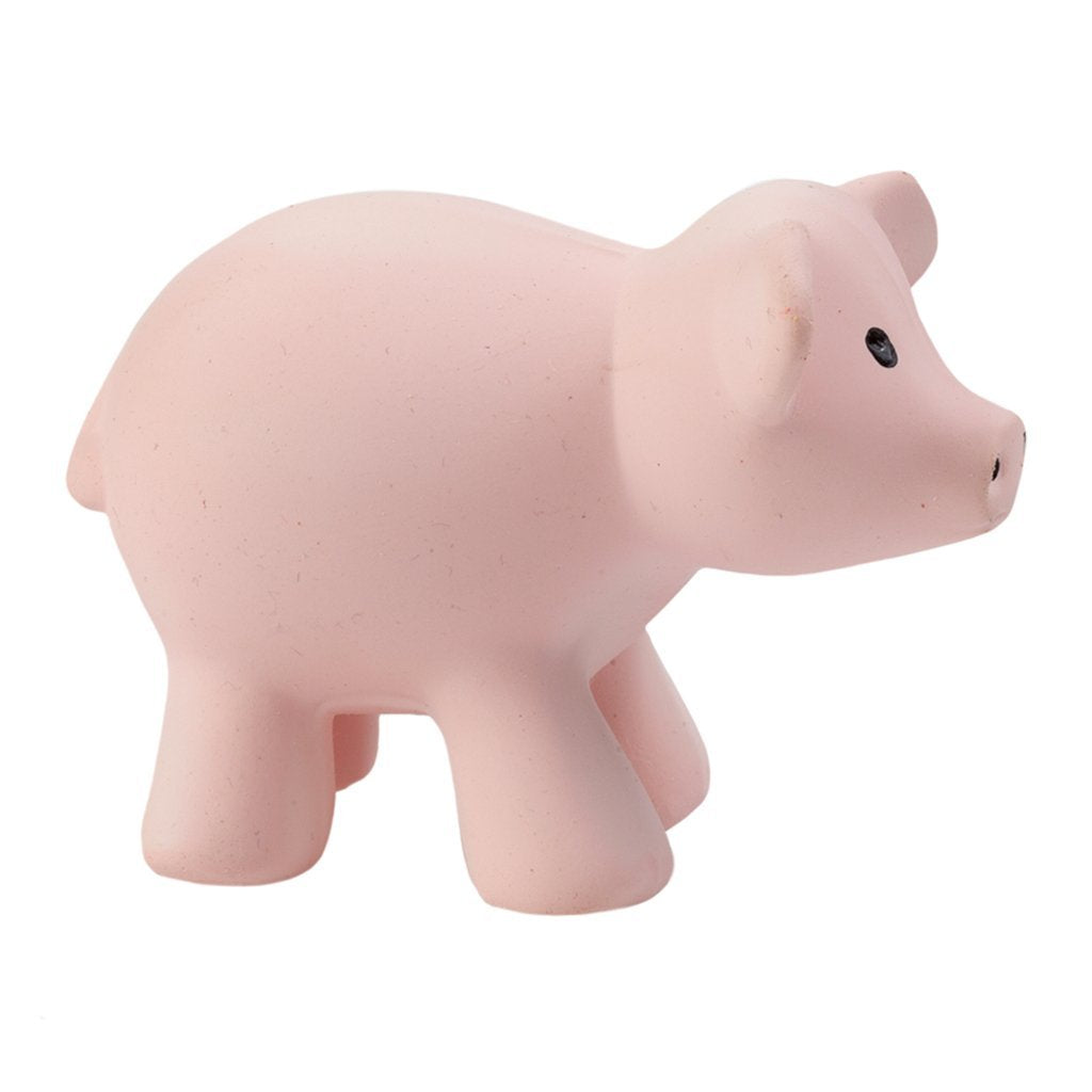 Pig Rattle Toy Gifts Tikiri Toys   